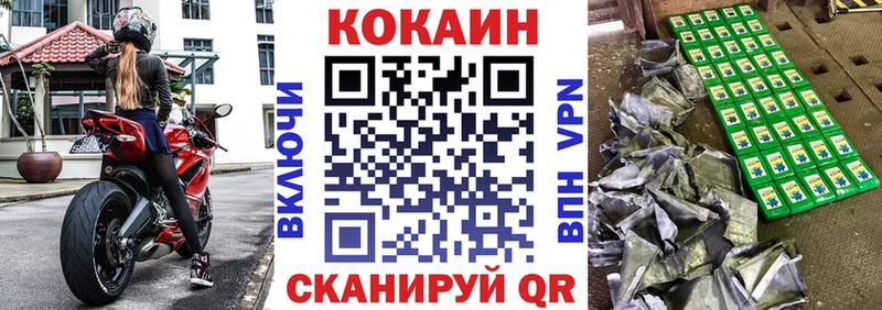 COCAIN Fish Scale  Дно 