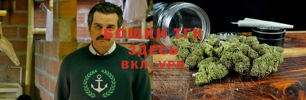 2c-b Ладушкин