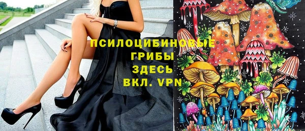 ПСИЛОЦИБИНОВЫЕ ГРИБЫ Лагань